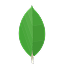 MongoDB